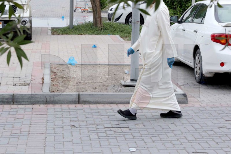 القفازات المرمية على الأرض... ضفادع تنقل كورونا!