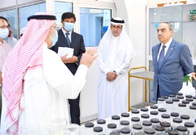 خلف: تعظيم مساهمة الزراعة بتحقيق الأمن الغذائي