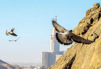 مصور سعودي يوثق جمال “حمام الحرم المكي”