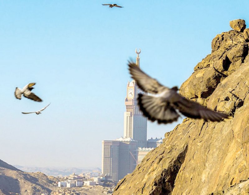 مصور سعودي يوثق جمال “حمام الحرم المكي”