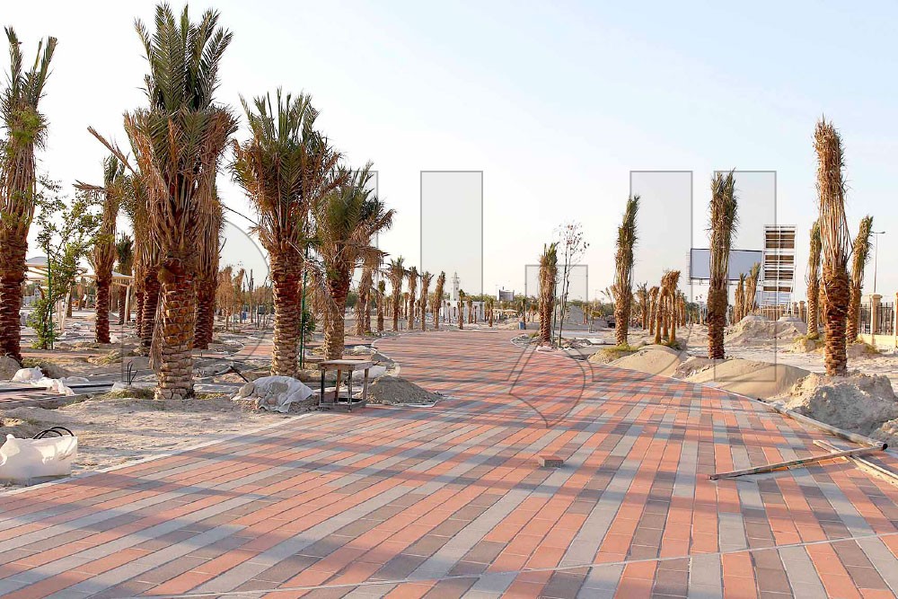 حديقة المحرق.. 1000 شجرة ونخلة.. وثلثها خضراء