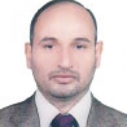 د. محمد الموسوي