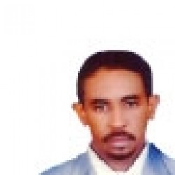 د. بهاء الدين مكاوي